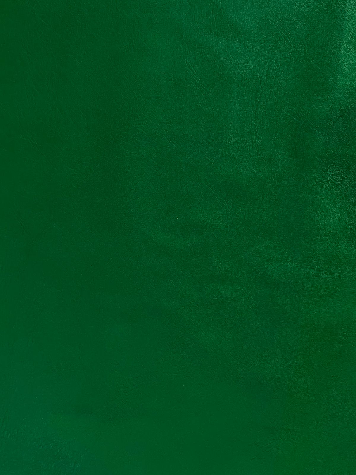 Estampa 04 Verde Bandeira